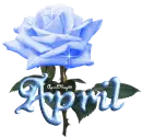 blue rose april