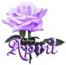 purple rose april