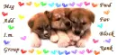 doggie