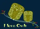 I love owls