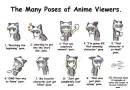 The Many Poses of Anime Viewers