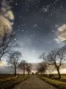 winter nature