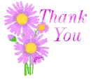  ~ Pink Daisies ~ Thank You