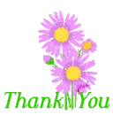  ~ Pink Daisies ~ Thank You