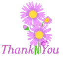  ~ Pink Daisies ~ Thank You
