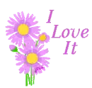  ~ Pink Daisies ~ I Love It