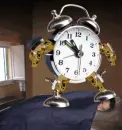 wakey wakey