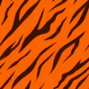 TIGER STRIPES