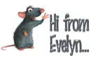 Rat: Hi from Evelyn