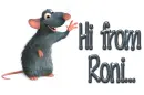 Rat: Hi from Roni
