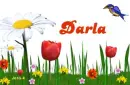 Darla
