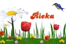 Rieka
