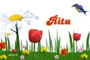 Rita