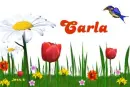 Carla