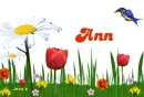 Ann