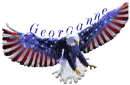 U S A  Eagle By Georganne