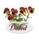DELIA