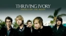 Thriving Ivory