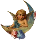 angel