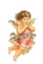 angel