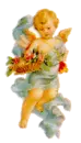 angel