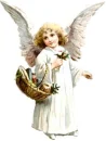 angel
