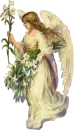 angel