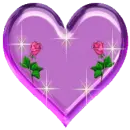 Violets