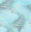 Stairway to heaven/ Rainbow Bridge