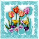 tulip