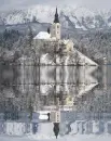 dream world
