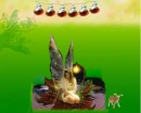 fairy1