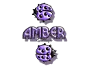purple traveling ladybugs amber