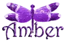 purple dragonfly amber