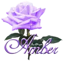 purple rose amber
