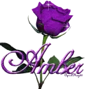 purple rose amber