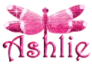 hot pink dragonfly ashlie
