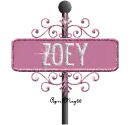 pink street sign zoey