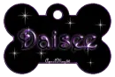 purple dog bone tag stars daisee