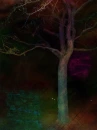 colorful trees