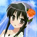 shana wedding