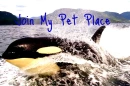My Pet Place Clickie