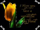 Wonderful day 
