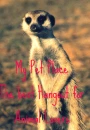 My Pet Place Clickie
