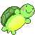 tortuga