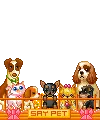 Kawaii Pets