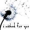 wish