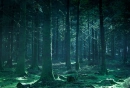 twilight forest!