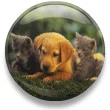 ANIMAL FRIENDS
