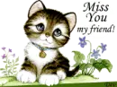 miss you my friend
